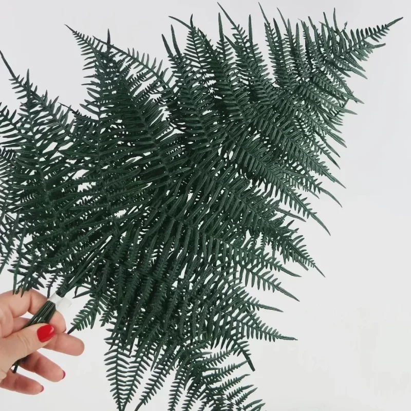 coralfern1