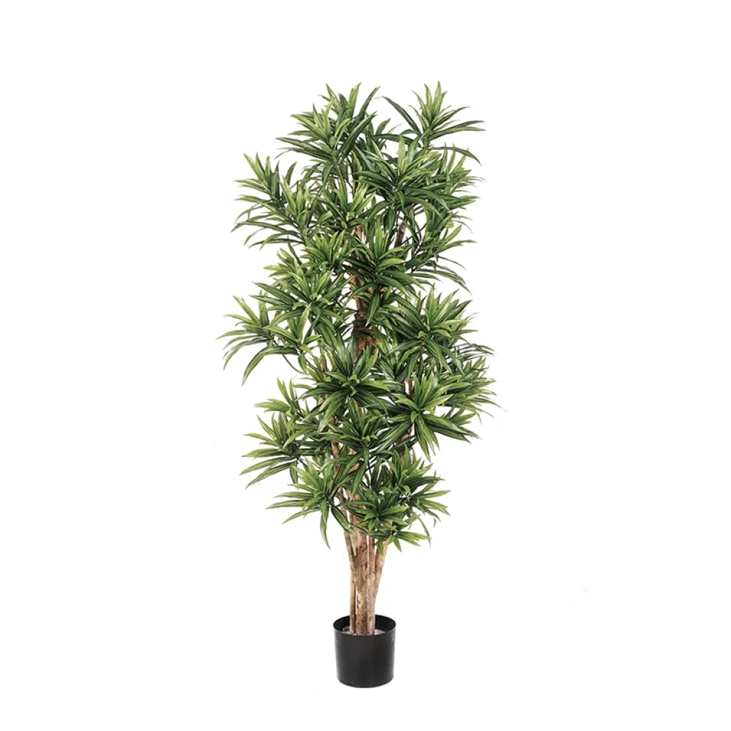 Na slici se nalazi veštačka biljka Dracena reflexa visine 120cm u plastičnoj crnoj saksiji.