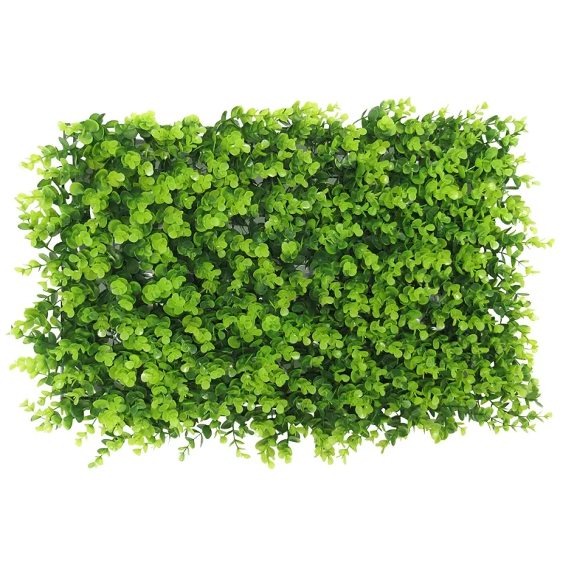 eukaliptus-vestacki-zeleni-zid