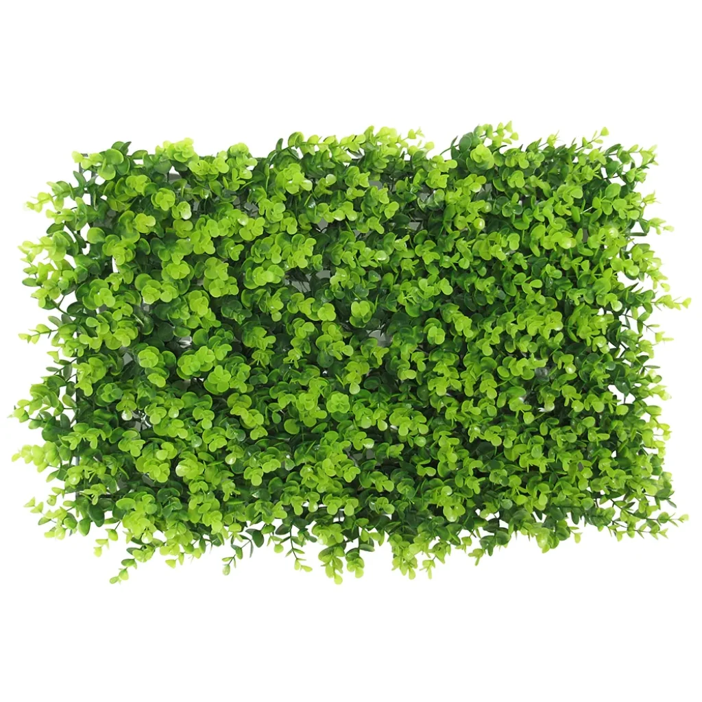 eukaliptus-vestacki-zeleni-zid