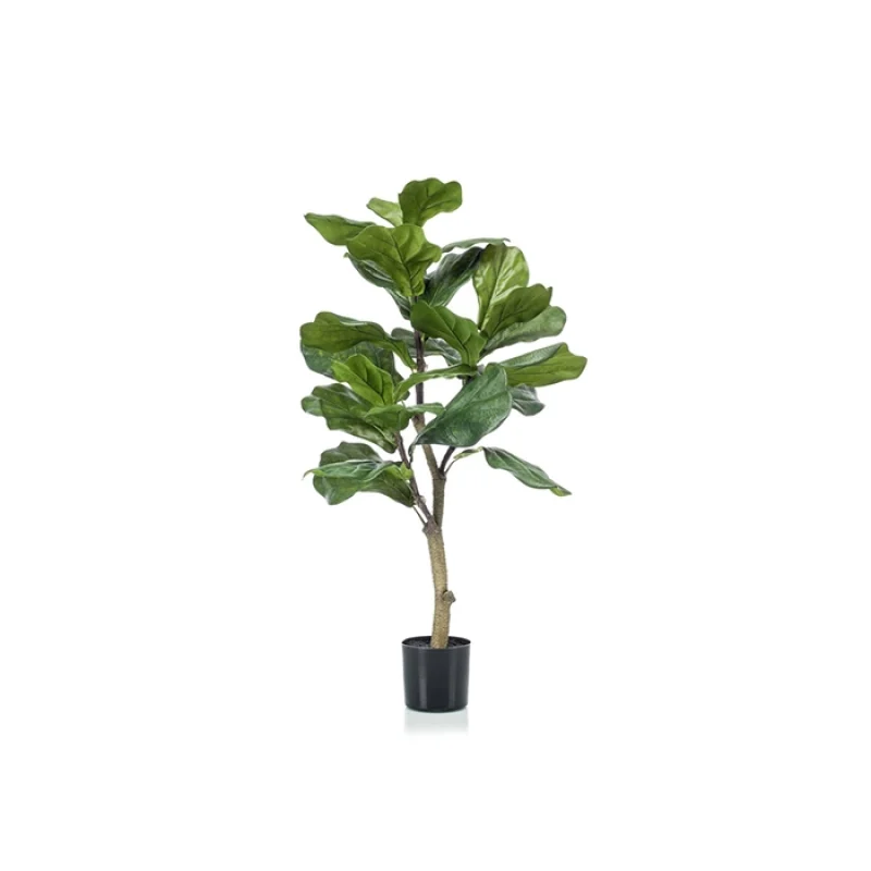 Fikus lirata manja veštačka bilja sa stablom od prirodnog drveta i velikim listovina. Biljka se nalazi u crnoj plastičnoj saksiji.