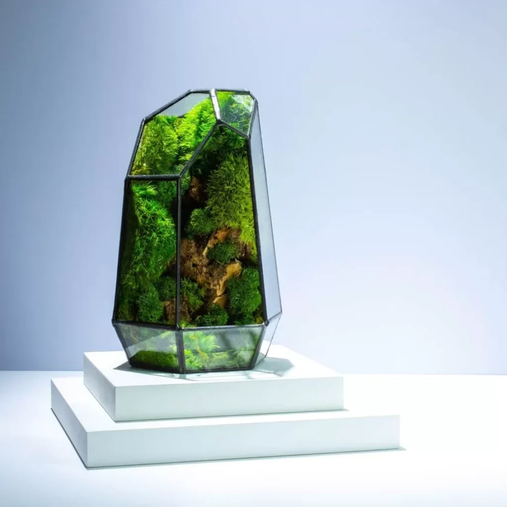 il-1140xN.4989698005-hlxk