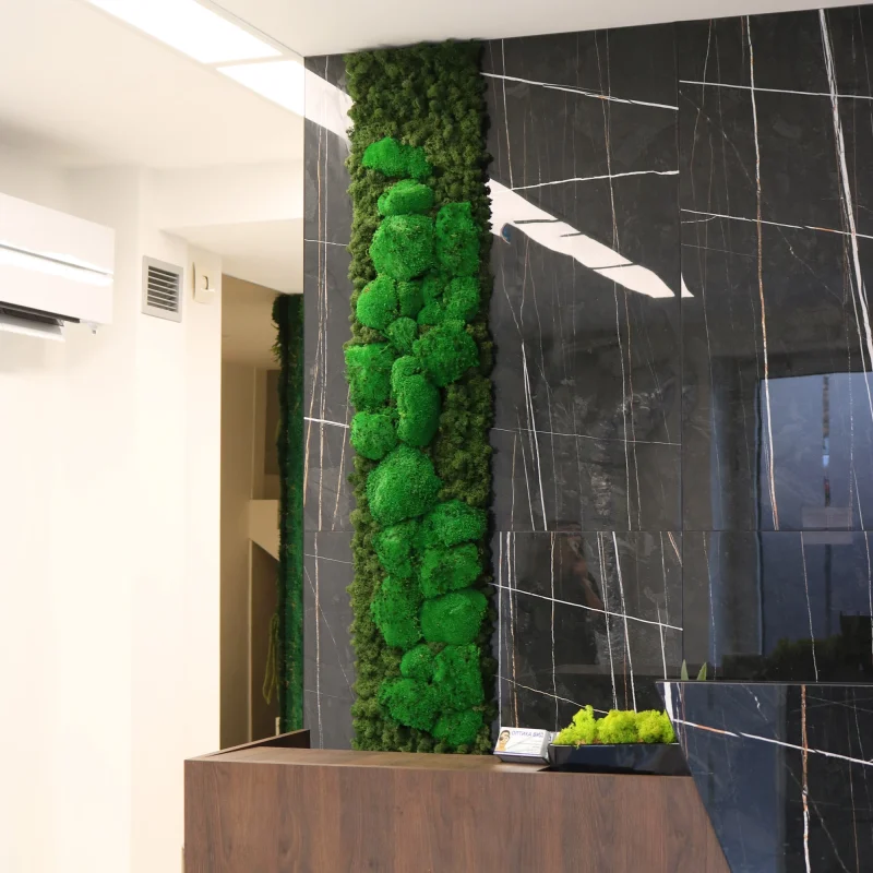 irvasova-i-loptasta-mahovina