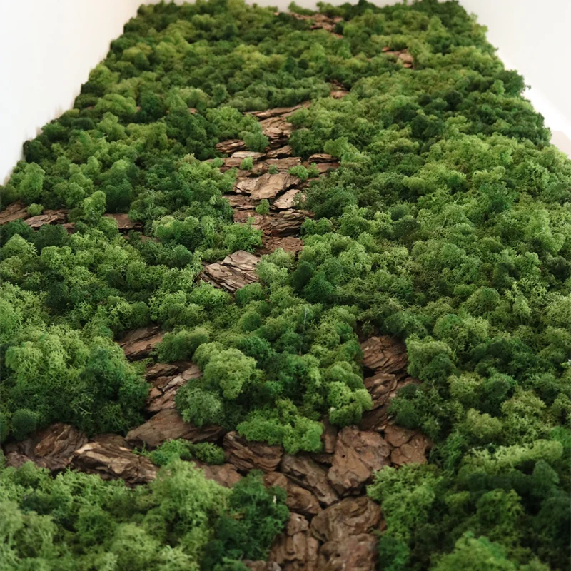 irvasova-mahovina-zeleni-zid