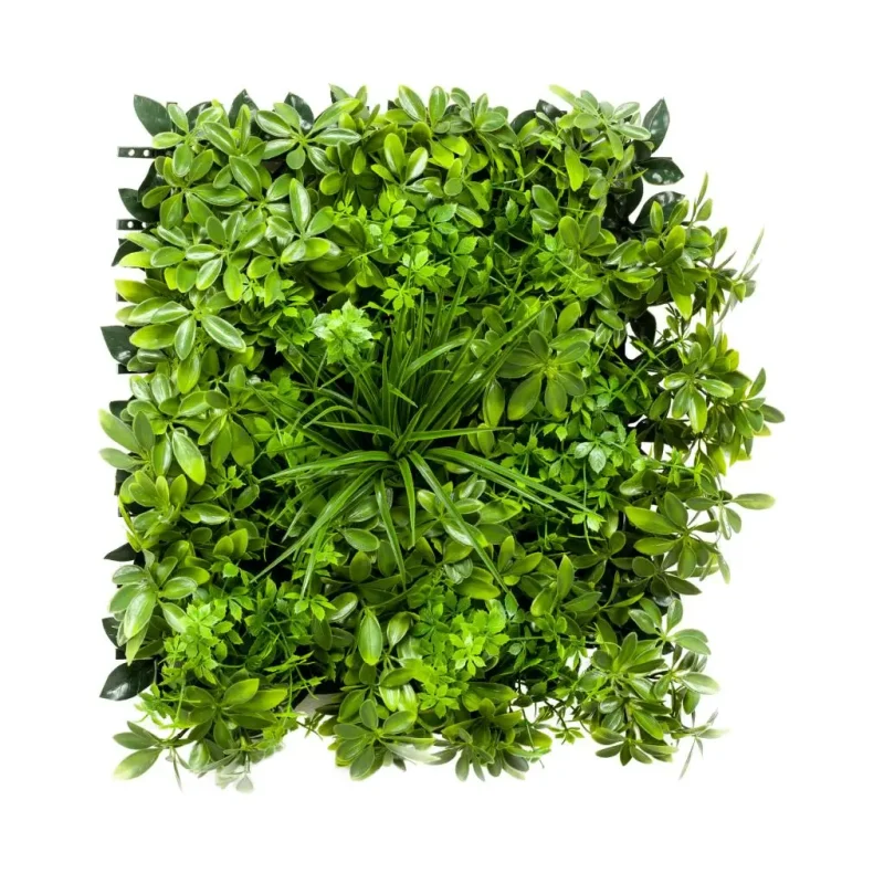 seflera-zeleni-zid-vestacki